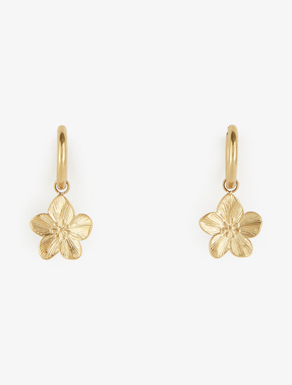 Boucles d&
